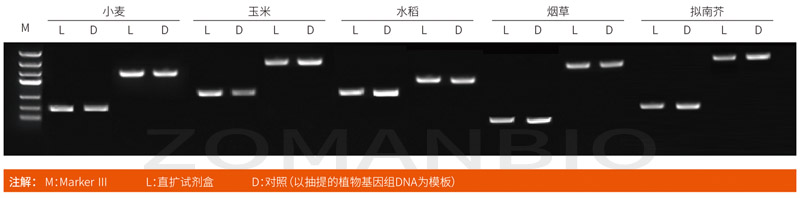 22.9.29 植物直擴(kuò)圖.jpg