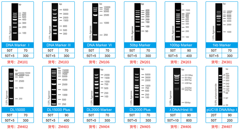 18.8 促銷(xiāo)Marker圖.jpg